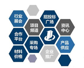 建设工程行业招投标综合信息门户与网络技术咨询服务发展探析